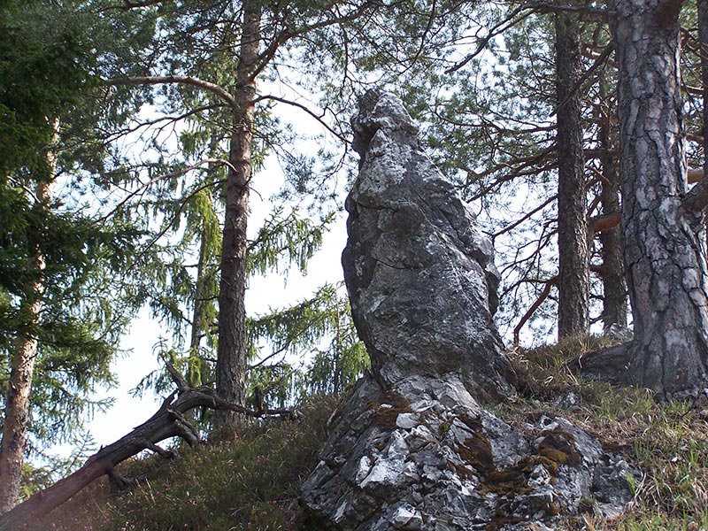 Felsnadel